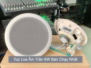 Top Loa Âm Trần 6W Bán Chạy Nhất Hiện Nay